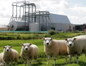 Fabrieksbouw